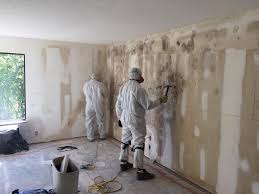 Best Asbestos and Lead Testing During Mold Inspection  in Riley, KS